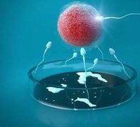 西藏拉萨最大的助孕公司，从成功率对比看如何选择