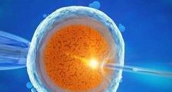 郑州第一人民医院试管成功率有多大？这里有详细分析