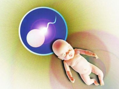 长沙妇幼试管婴儿费用明细表成功才最省钱